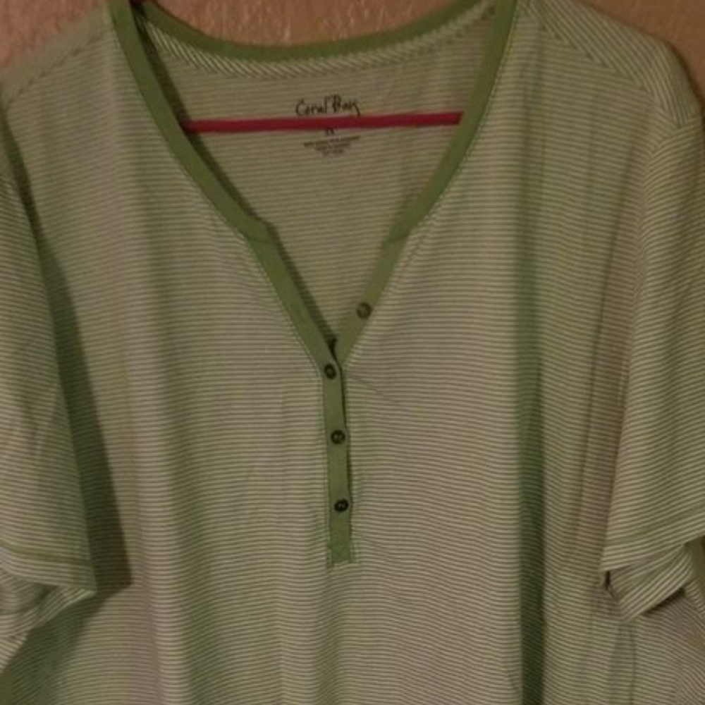 Coral Bay Green & White Striped Top 3x Plus Size